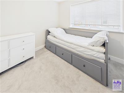Picture 16